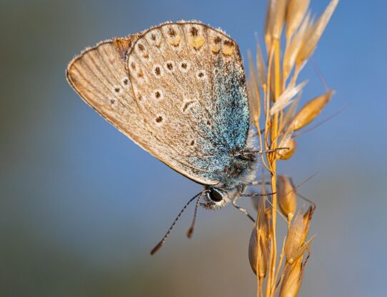 The Top Biology Careers in Turkey: A Guide for Aspiring Professionals